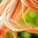 summer hair color inspiration